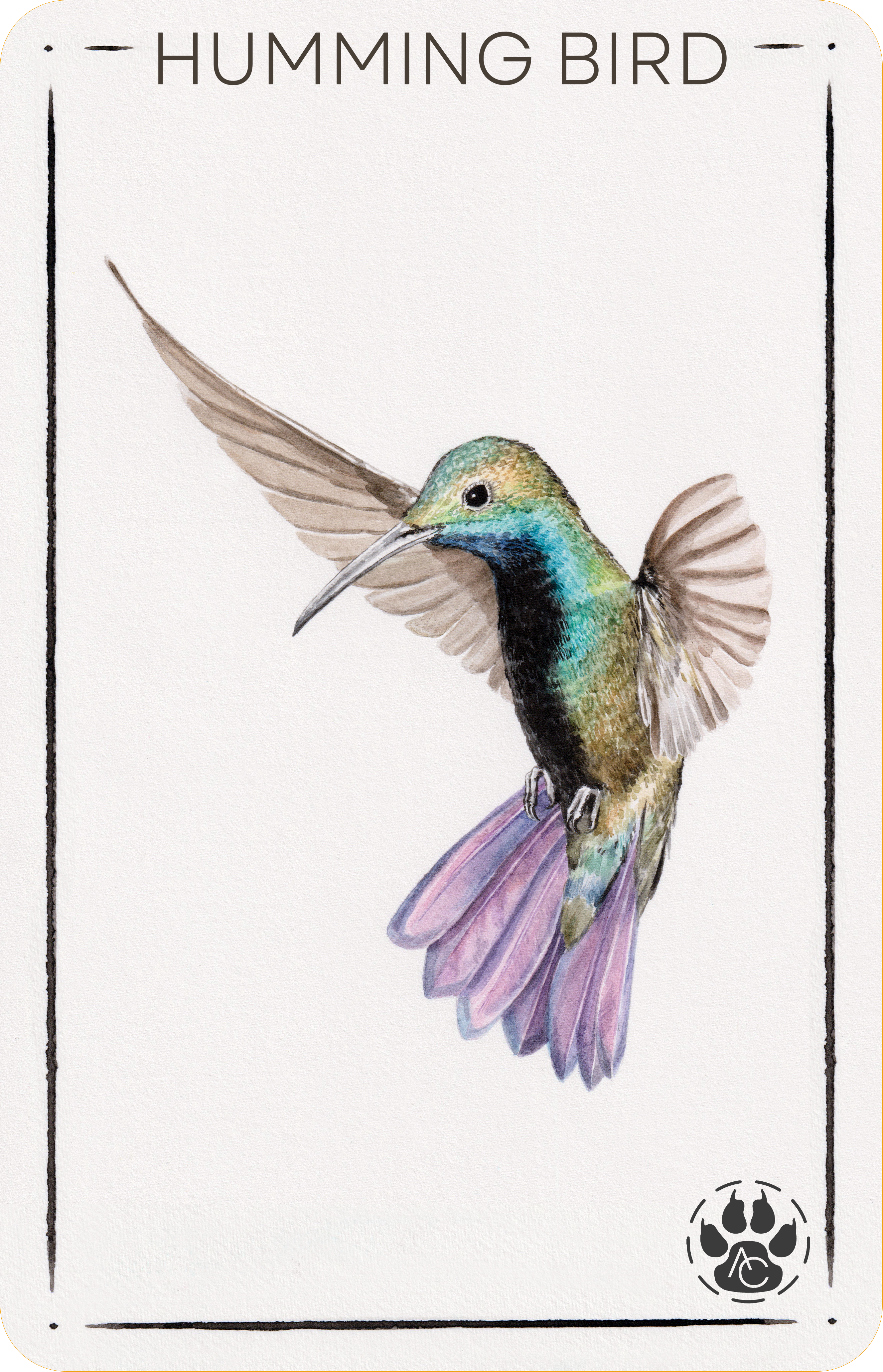 Hummingbird card PNG con bordo arrotondato