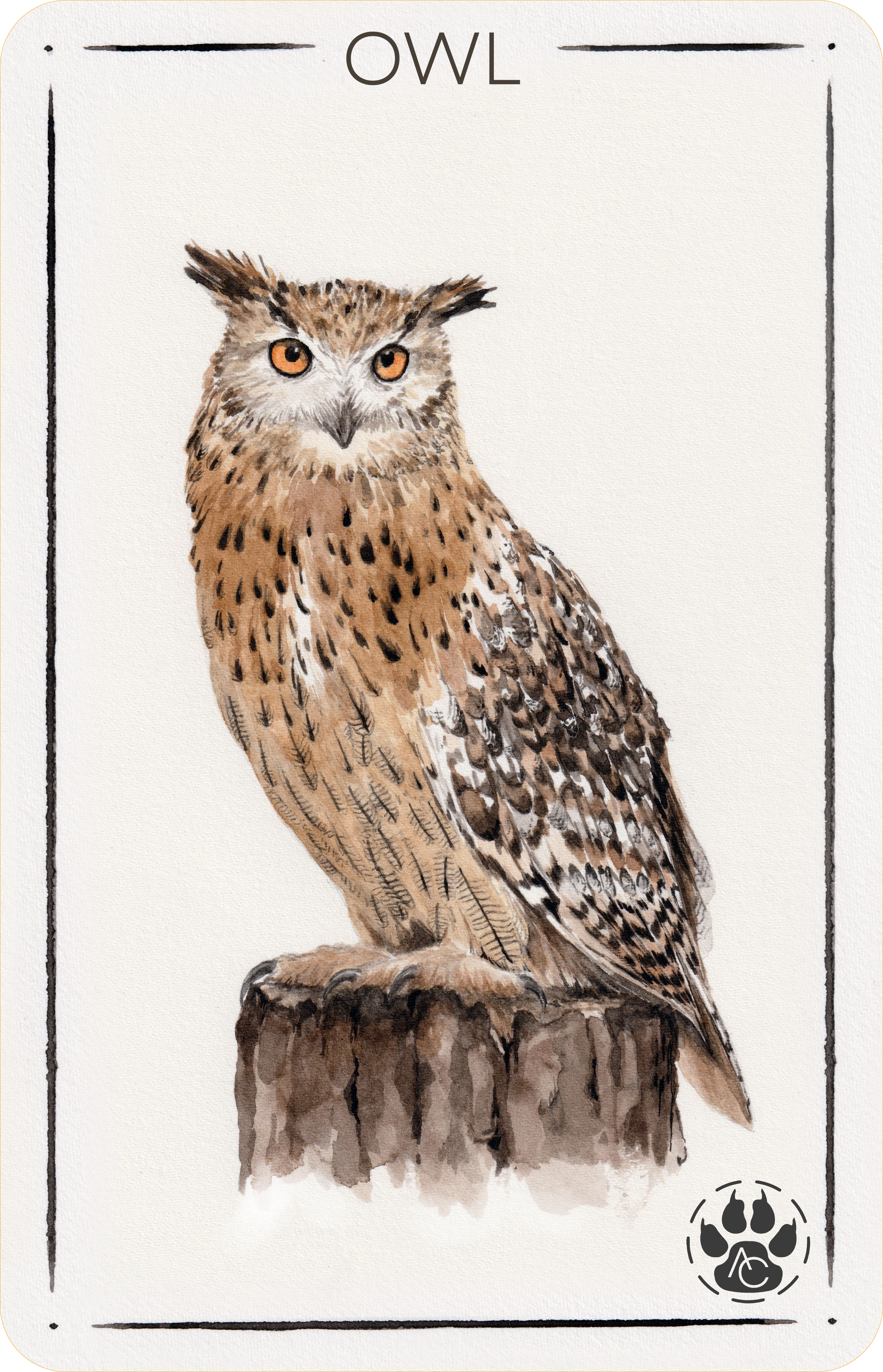 OWL card PNG con bordo arrotondato