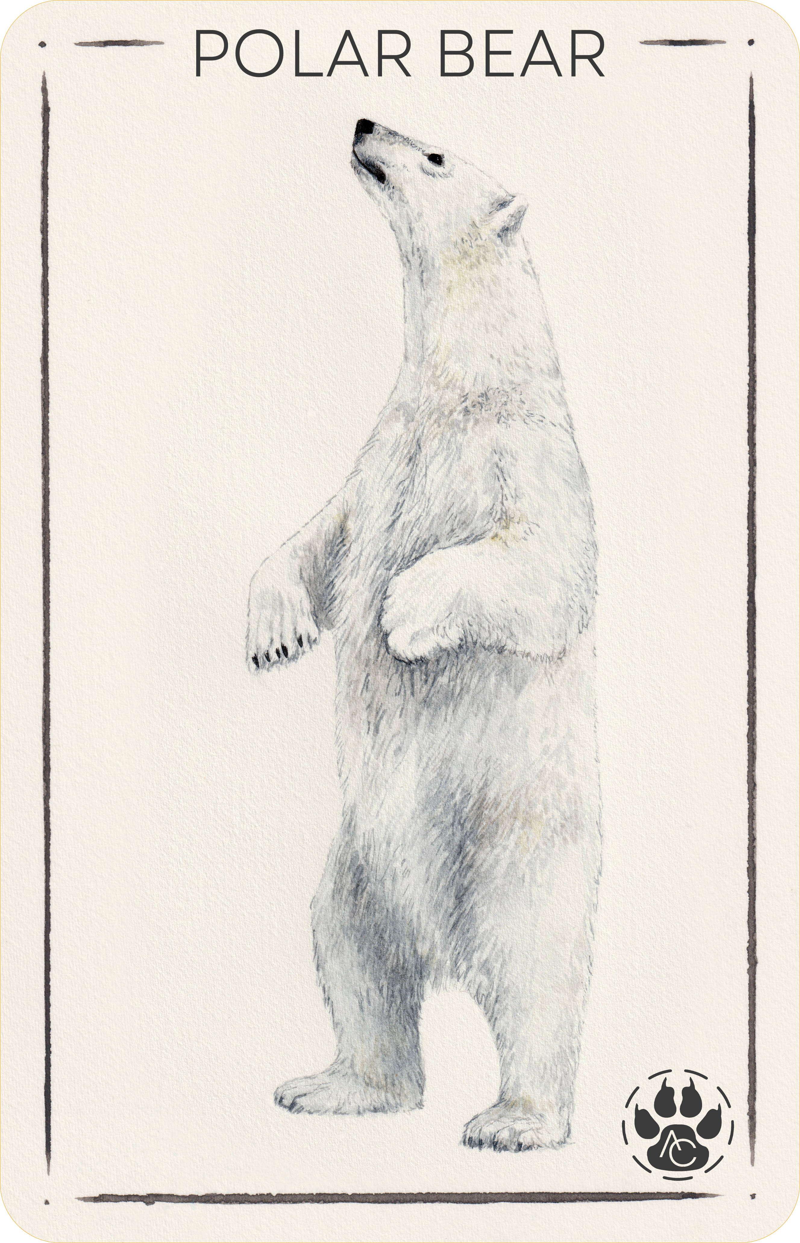 Polar Bear card PNG con bordo arrotondato