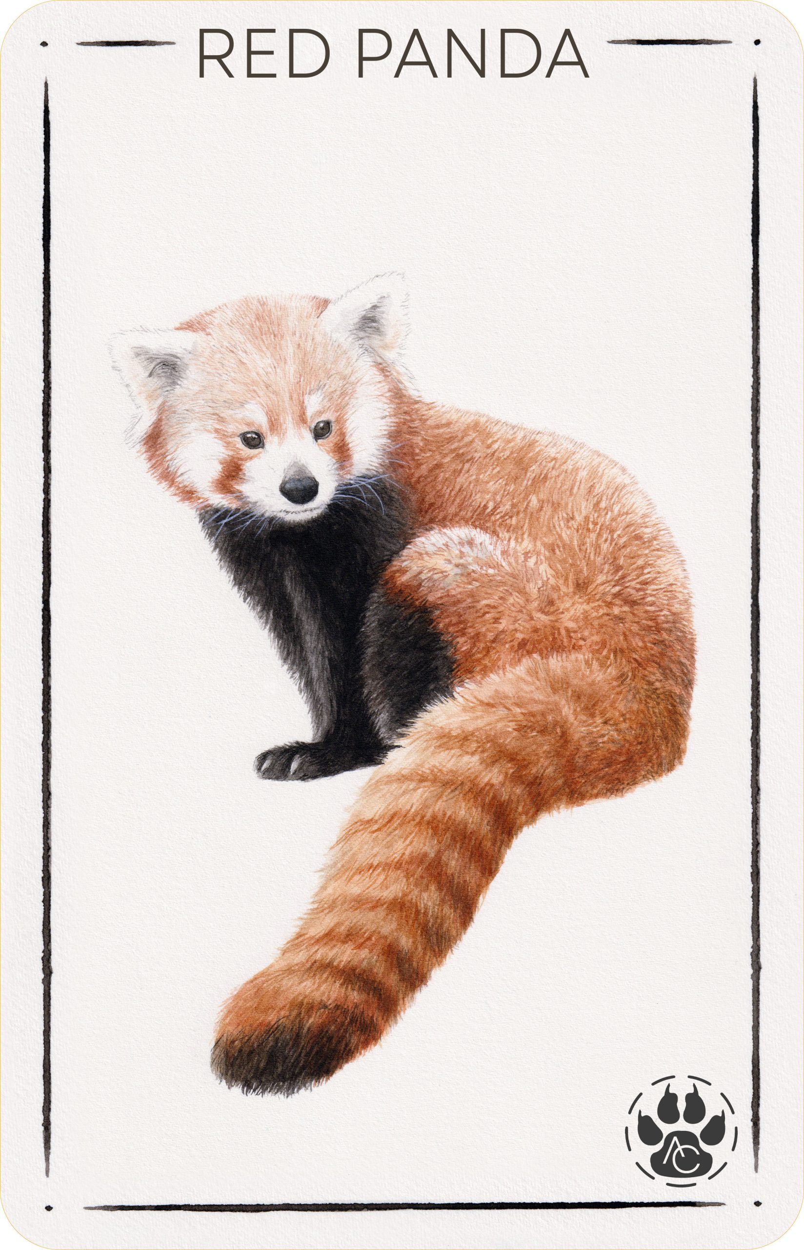 Red Panda card JPEG