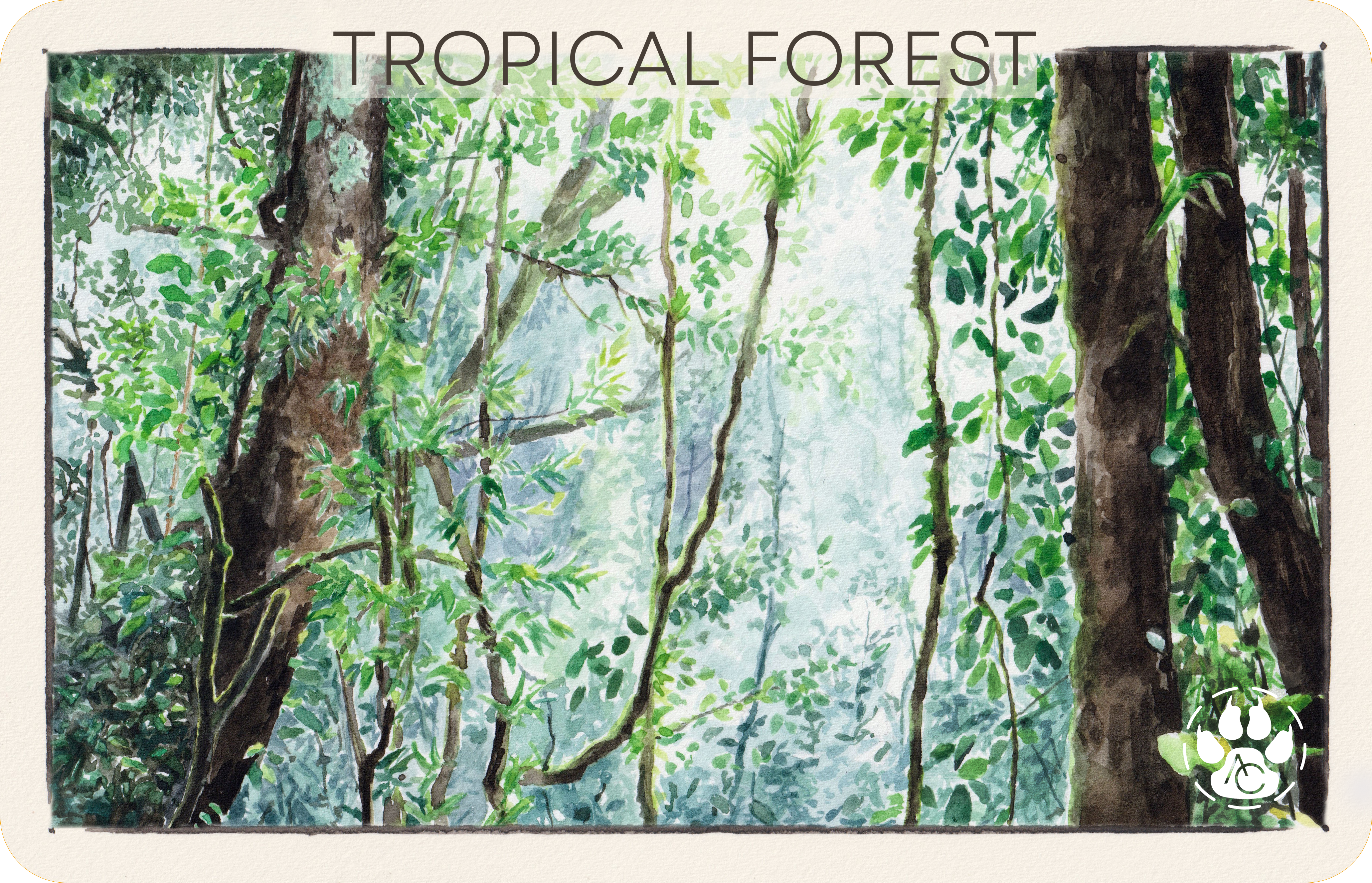 Tropical Forest card PNG con bordo arrotondato